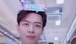 网红爆料明星翻车视频,明星翻车视频引发热议，真相曝光令人震惊