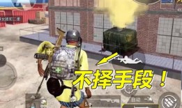 手抢队电视剧在线观看,热血青春，激战正酣