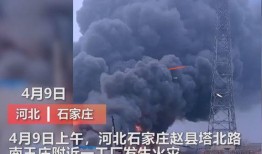 抚州媒体爆料事件视频最新,真相背后引关注
