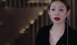 浪姐被老公爆料视频大全,揭秘明星婚姻背后的真相