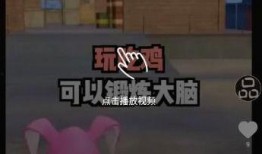 奇葩冒险家爆料视频下载,惊险刺激的冒险视频大揭秘