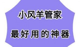 小风爆料完整视频,完整视频内容深度解析