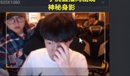 小虎爆料视频大全集下载,揭秘幕后故事，带你领略真实娱乐圈