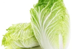 吉林大白菜爆料视频大全