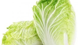 吉林大白菜爆料视频大全