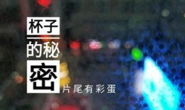 全国爆料原视频,真实事件背后的惊人真相