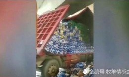顺德一中爆料事件视频,真相与争议的交织