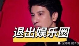 汪峰爆料吴磊视频大全,揭秘娱乐圈幕后真相