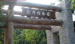 杭州植物园最新爆料,探秘植物界的“隐秘宝藏”