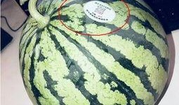 qq吃网红瓜,QQ吃瓜群众如何捕捉热门事件