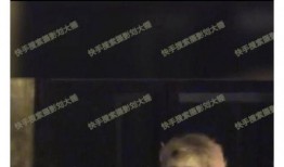 刘大锤露脸爆料视频在线观看,揭秘幕后真相，带你走进事件核心
