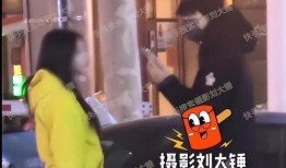 刘大锤露脸爆料视频在线观看,揭秘幕后真相，带你走进事件核心