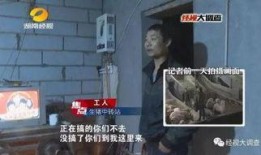给猪灌泥浆爆料违法吗视频,违法真相揭露