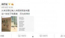 娱乐吃瓜酱职业规划书,从吃瓜达人到职业规划者的华丽转身