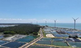湛江徐闻最新爆料,揭秘神秘事件背后的真相