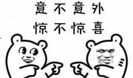 潮州爆料曝光新闻最新消息,重大新闻事件曝光，详情揭晓！