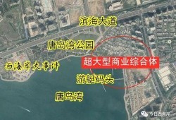 西海岸最新爆料,最新爆料背后的惊人真相