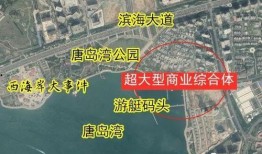 西海岸最新爆料,最新爆料背后的惊人真相