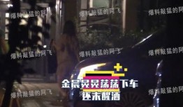 爆料阿飞聚餐视频大全集,一场星光熠熠的美食盛宴