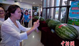 吃瓜最新事件爆料无锡新闻,吃瓜群众热议最新事件爆料揭秘