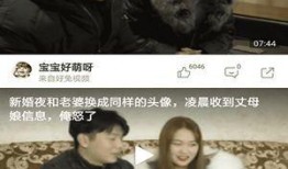 小虎爆料视频大全集下载,揭秘幕后故事，带你领略真实娱乐圈