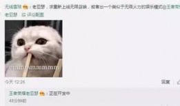 巴哥策划爆料视频,揭秘幕后精彩瞬间