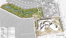 西海岸最新爆料,最新爆料背后的惊人真相