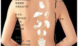 看了内鬼爆料怎么办啊视频,如何应对职场危机