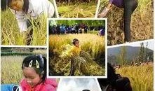 谷子爆料小石头视频,小石头视频揭秘幕后真相