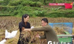 谷子爆料小石头视频,小石头视频揭秘幕后真相