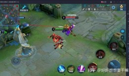 王者荣耀小王爆料视频,揭秘游戏幕后精彩瞬间