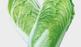 吉林大白菜爆料视频大全