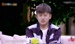 沈凌爆料张杰视频,揭秘娱乐圈风云
