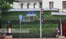 广西新闻网上爆料,揭秘神秘事件背后的真相