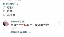 李易峰爆料狗仔视频播放,揭秘娱乐圈隐私风波