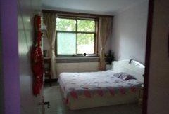 恒山西路最新爆料,揭秘神秘项目进展与周边影响