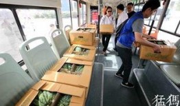 河南公交司机免费吃瓜,免费吃瓜传递夏日清凉