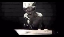 艾伦爆料外星人视频大全,艾伦爆料震撼视频大全解析