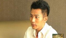 刘恺威被爆料了吗视频,真相与争议交织