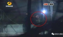 给猪灌泥浆爆料违法吗视频,违法真相揭露