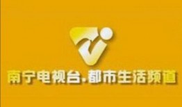 南宁都市频道爆料新闻,揭秘某重大事件背后真相