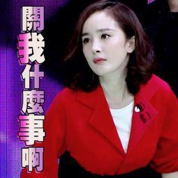 娱乐吃瓜君白莲花女明星,白莲花女明星的娱乐吃瓜大揭秘